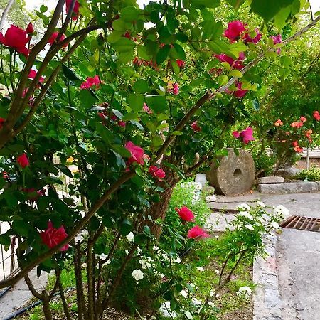 Apartmani Peric Bar Luaran gambar